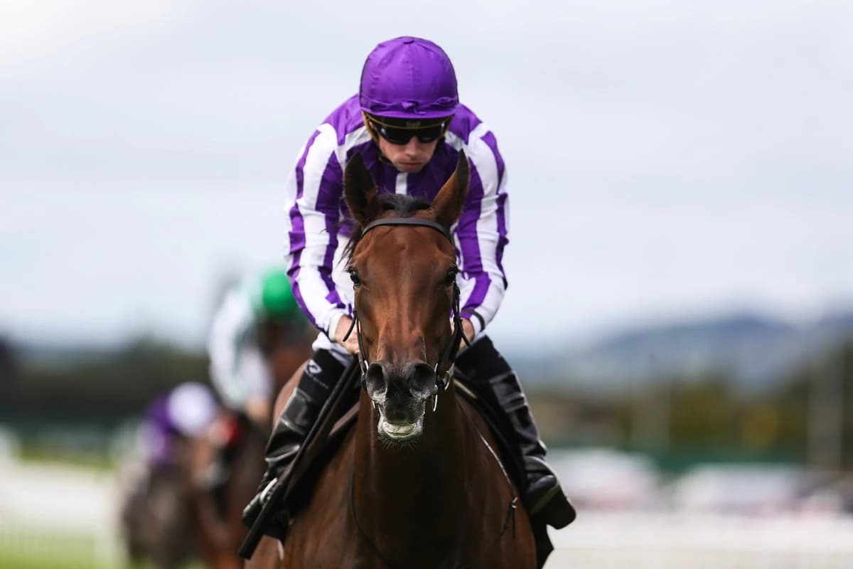 Saturday racing tips: Best bets for Cambridgeshire day at Newmarket