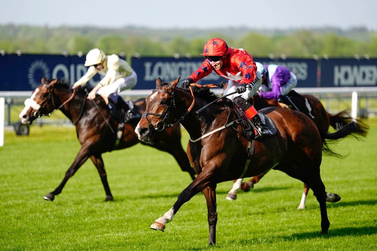 Saturday’s racing tips: Best bets and odds for Ascot and Haydock