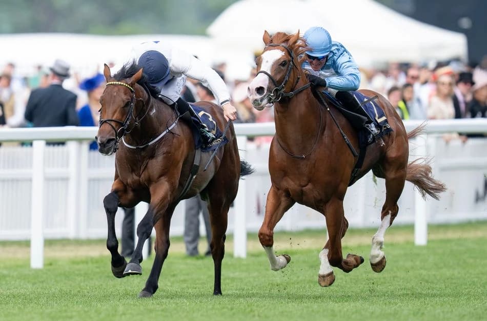 Seamie Heffernan given 24-day whip ban for winning Royal Ascot ride