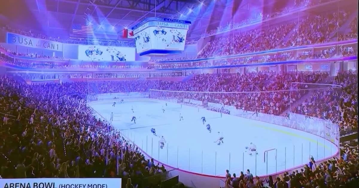 South Forsyth site yields major NHL arena plans