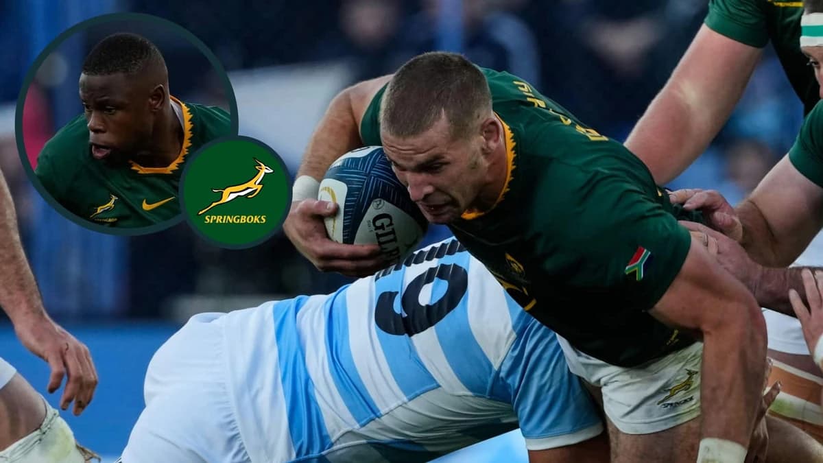 Springboks player ratings versus Argentina: Bomb Squad saves the day, Cameron Hanekom shines