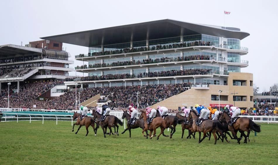 Syndicate members were sold fictitious hospitality for next year's Cheltenham Festival, owners claim