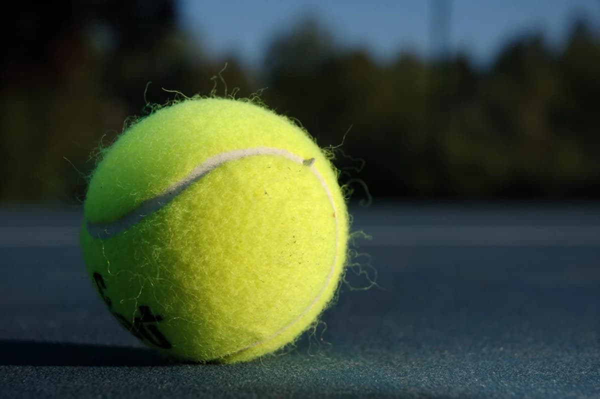 TENIS George Cosac, președintele FR de Tenis, victorie parțială în lupta cu ANS! „Am primit deja 1,5