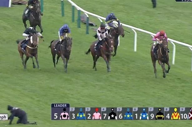 Terrifying moment Cheltenham staff member crawls across track as horses thunder towards him