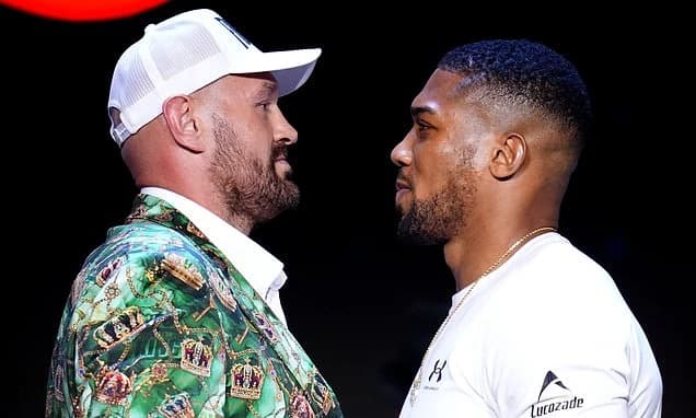 The £13,128 ticket: Tyson Fury vs Anthony Joshua is sport's most expensive standard seat EVER as fan
