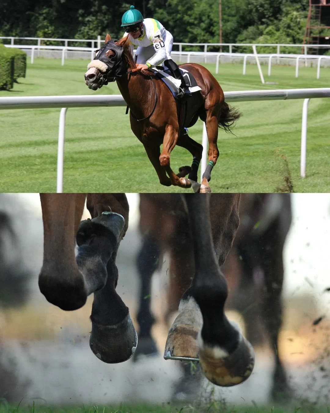 The Grand National journeys starting next door to Stone