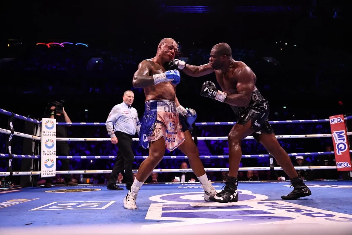 Thriller: Daniel Dubois returns to his feet to stop Fabio Wardley in heavyweight classic