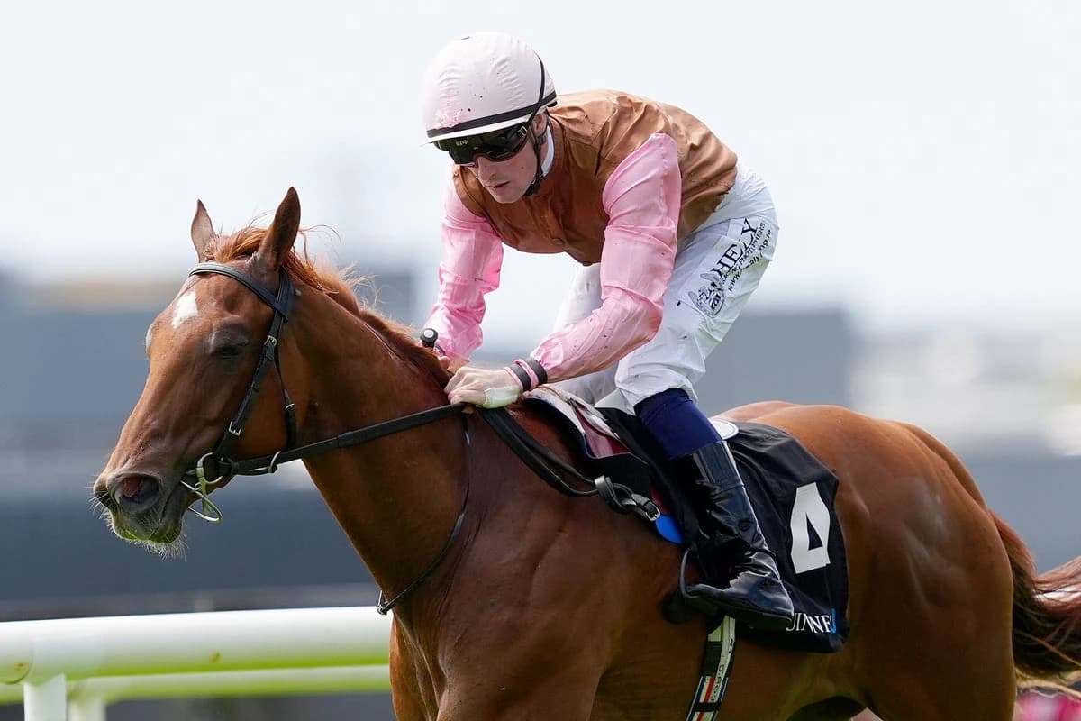 Thursday’s Racing Tips: Best bets and odds at Doncaster