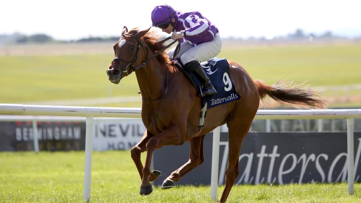 Today at Royal Ascot: Aidan O’Brien pair Precise and True Love star in Coronation Stakes clash