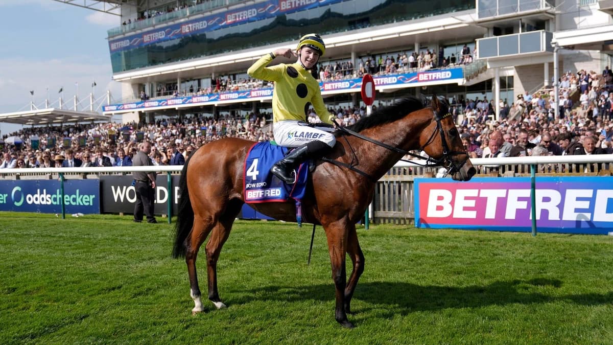 Today at Royal Ascot: Bow Echo and Gstaad lock horns in St James's Palace Stakes live on Tuesday