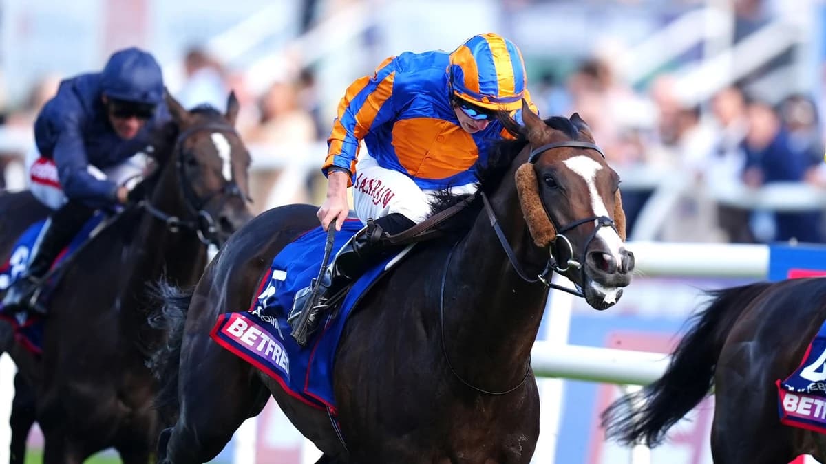 Today at Royal Ascot: Scandinavia out to take Trawlerman's Gold Cup crown in day three feature clash