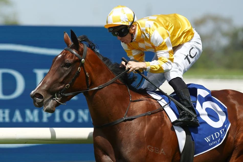 Top Australian sprinter ruled out of Royal Ascot and career in jeopardy after stingray attack on Bri