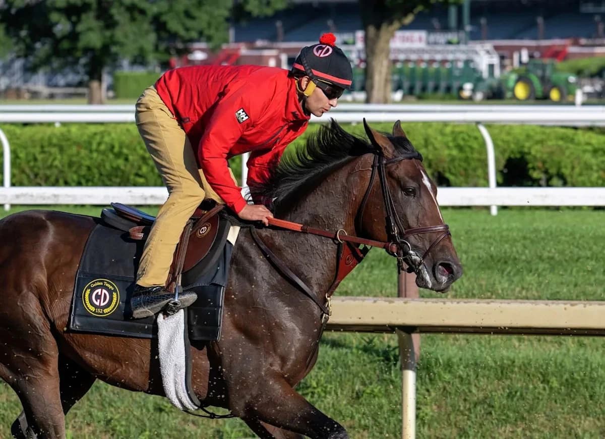 Travers Stakes contenders: Which horses are pointing toward Saratoga's biggest race?
