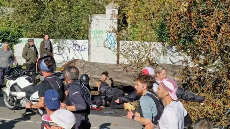 Un copac s-a prăbuşit şi a rănit un alergător la maratonul din Lille