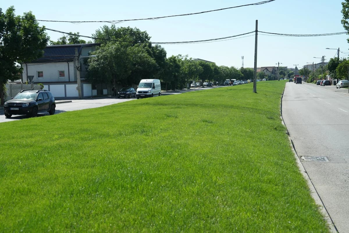 Unde a ajuns gazonul pe care Universitatea Craiova a devenit campioana României