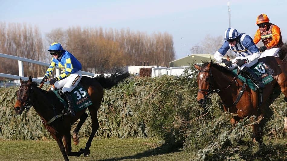 'We had a great time and it stays with you forever' - Grand National winner and 'life-changer' Auror