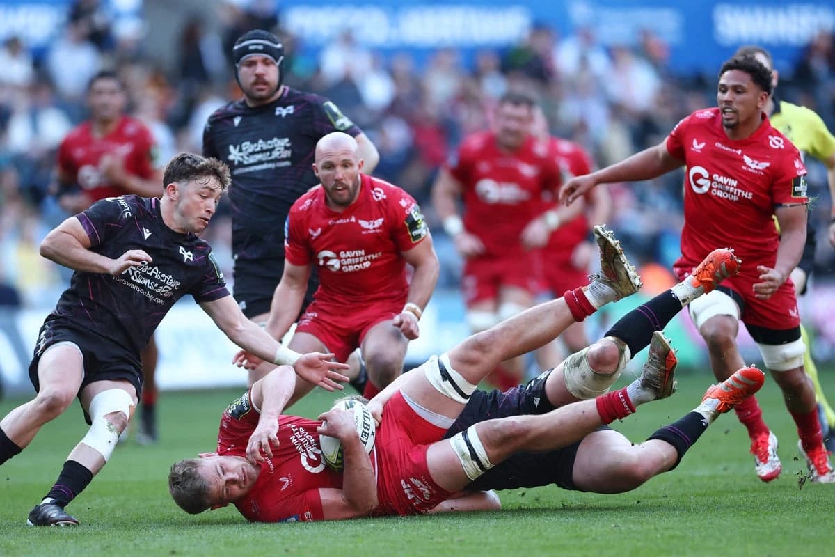 Welsh Rugby Union confirms Ospreys or Scarlets will become defunct