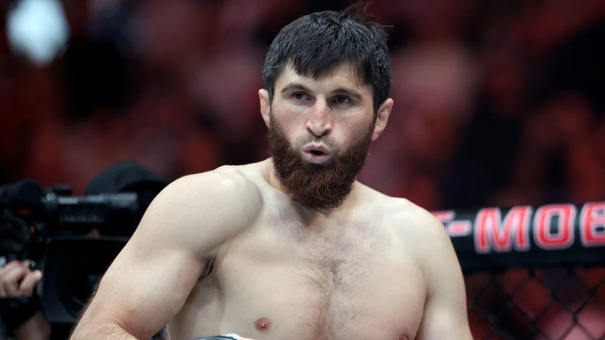 Where things stand in the crowded UFC light heavyweight title picture with Carlos Ulberg out until 2