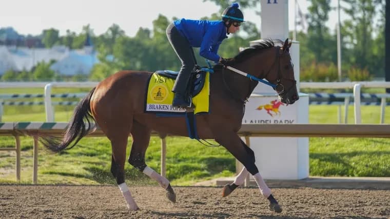 Where to watch the Black-Eyed Susan Stakes: Channel, time, TV schedule, live stream for 2026 horse r