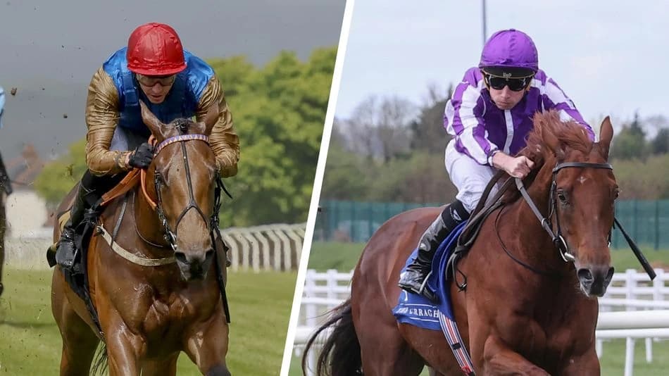 Who are the top five Royal Ascot-bound juveniles on Racing Post Ratings - and what are their chances