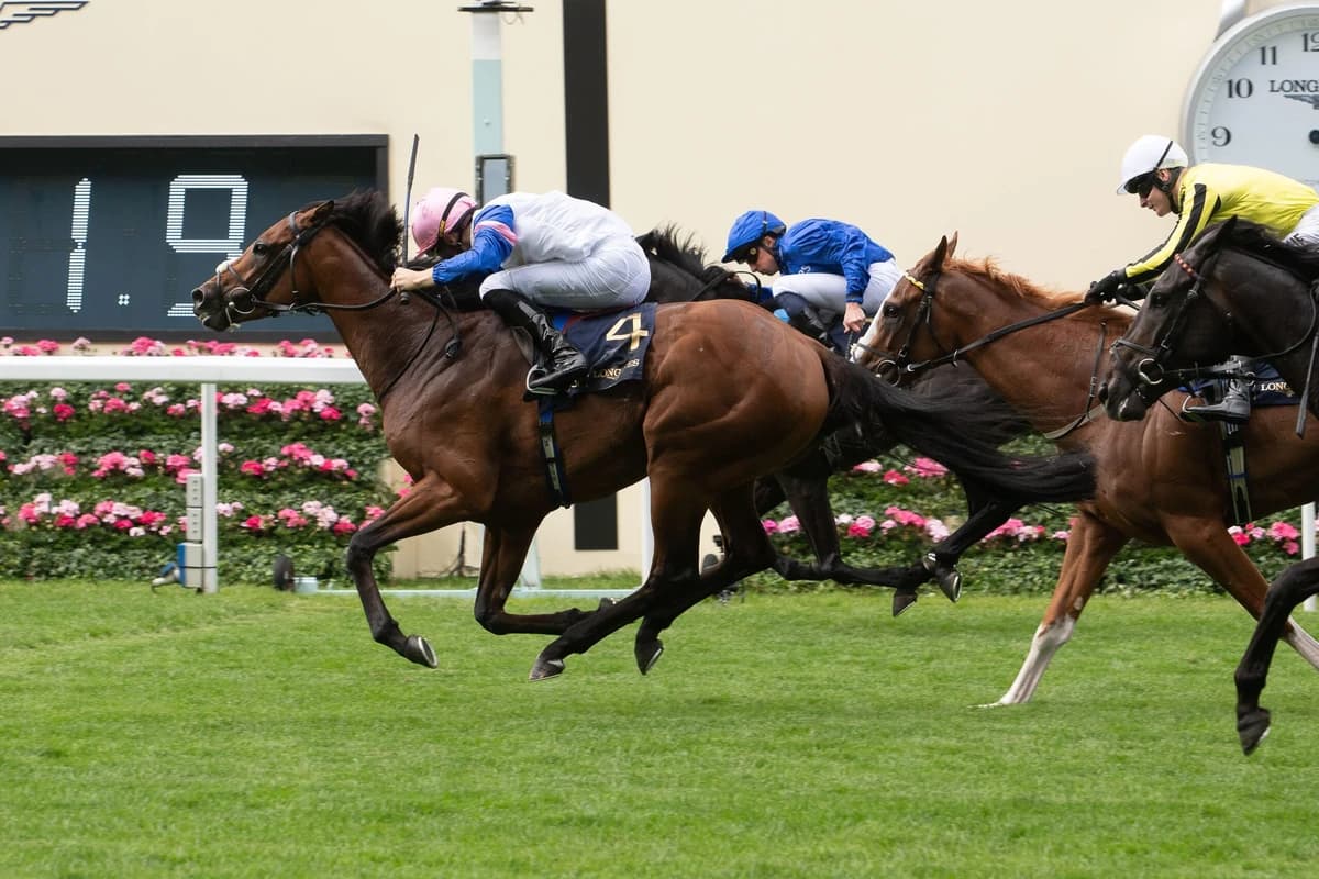 Who Is The NAP Of The Day At Royal Ascot On Saturday?