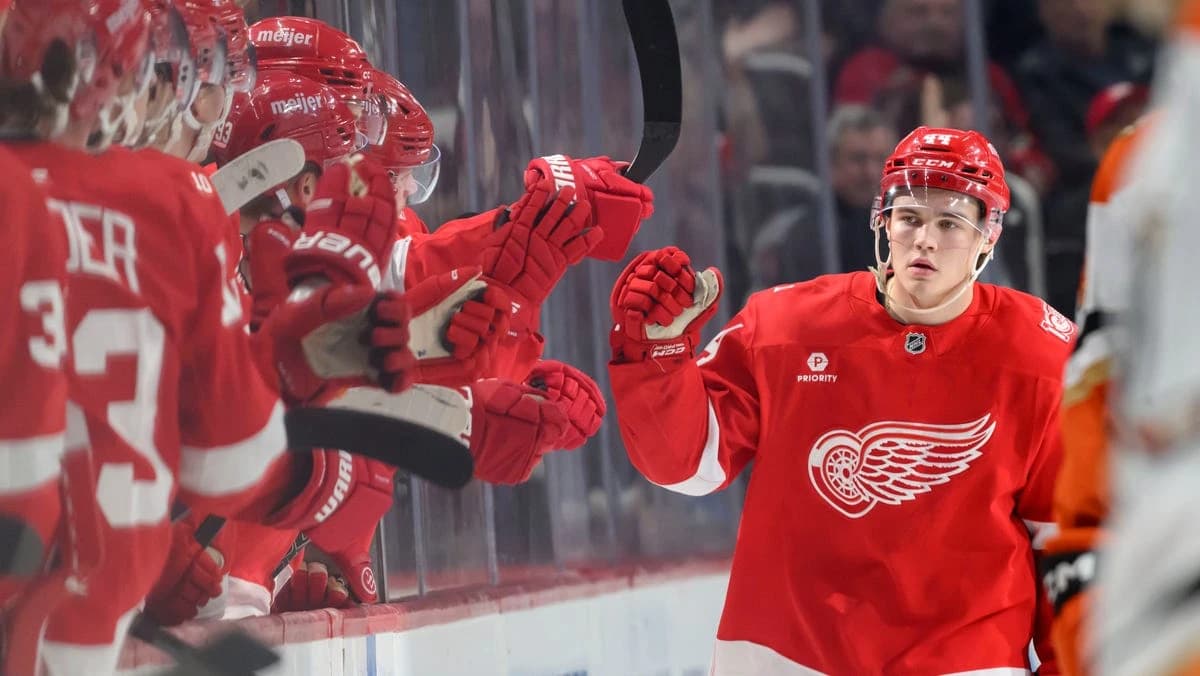 Wings' Sandin-Pellikka hoping improved 'D' can land him back in NHL