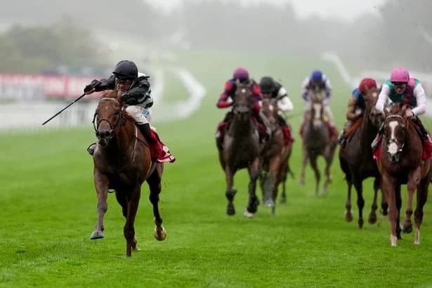 Zavateri overcomes pre-race scares to dominate Celebration Mile at soggy Goodwood